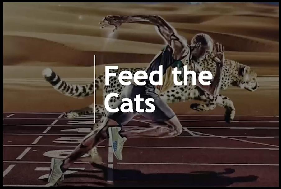 Sprint Training – Intro to Feed the Cats