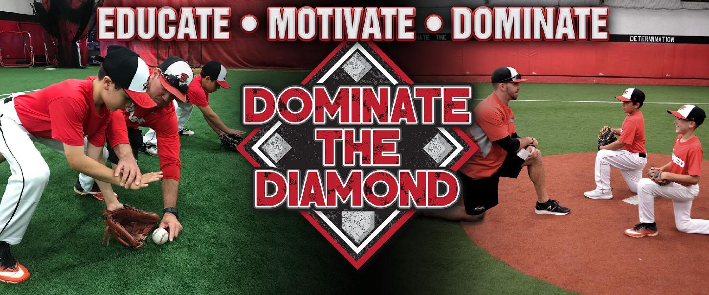 FREE Sneak Peek by Dominate the Diamond