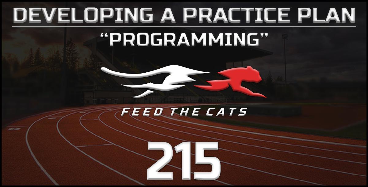 Feed The Cats: Developing a Practice Plan – Programming