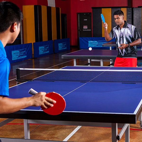 5 Ply Rubber Table Tennis Paddle